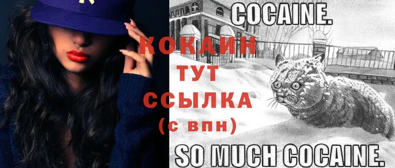 КОКАИН FishScale  МЕГА ССЫЛКА  Велиж 